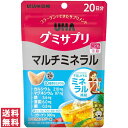 【送料無料(定形外郵便)】UHA グミサプリ マルチミネラル 40粒 20日分 UHA味覚糖