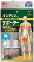 【送料無料(定形外郵便)】バンテリンコーワサポーター 腰用 大きめ Lサイズ シャイニンググレー【興和 KOWA 腰痛 腰椎 骨盤 姿勢 サポーター】