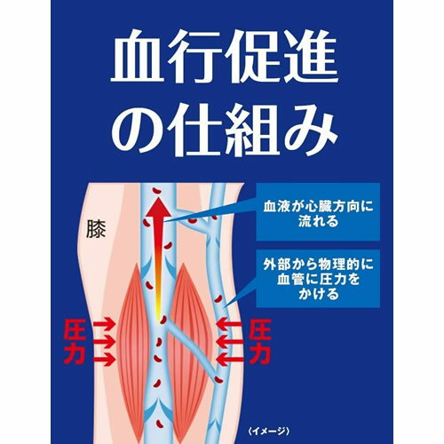 【定形外郵便(送料300円)】(Lサイズ)ドクターショール(DrScholl)おうちでメディキュットロングタイプブラック Lサイズ【メディキュット 着圧 血行促進 むくみケア】 2