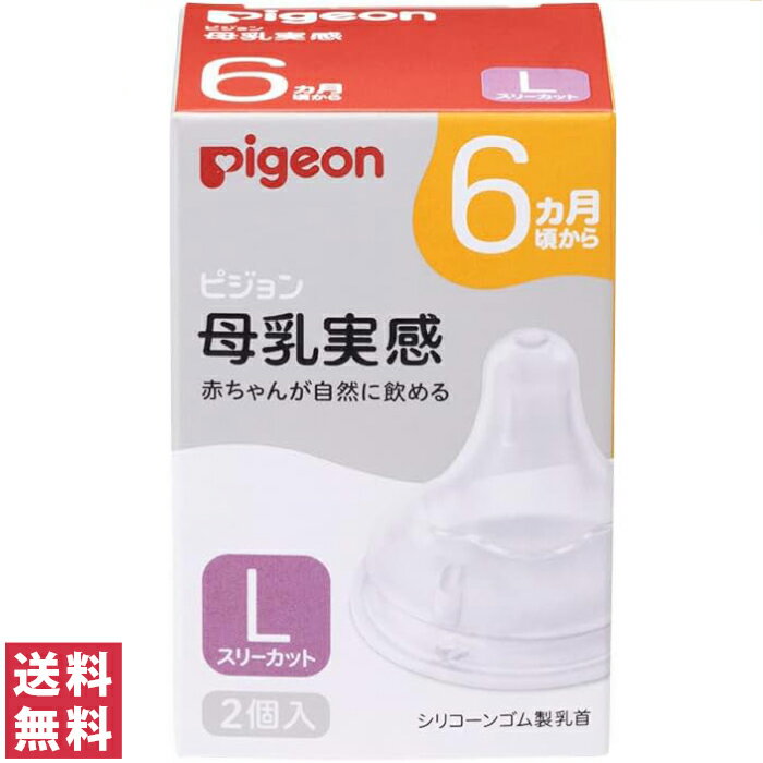 【送料込・まとめ買い×10個セット】ピジョン スリムタイプ 乳首 Y スリーカット 6カ月頃から 2個入