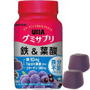 【送料無料(定形外郵便)】UHA グミサプリ 鉄＆葉酸 ボトル30日分 60粒(UHA味覚糖)【グミサプリ 鉄 葉酸】 その1