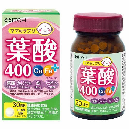 【送料無料(定形外郵便)】井藤漢方製薬 葉酸400 Ca・Feプラス120粒【マタニティサプリ 妊娠 ...