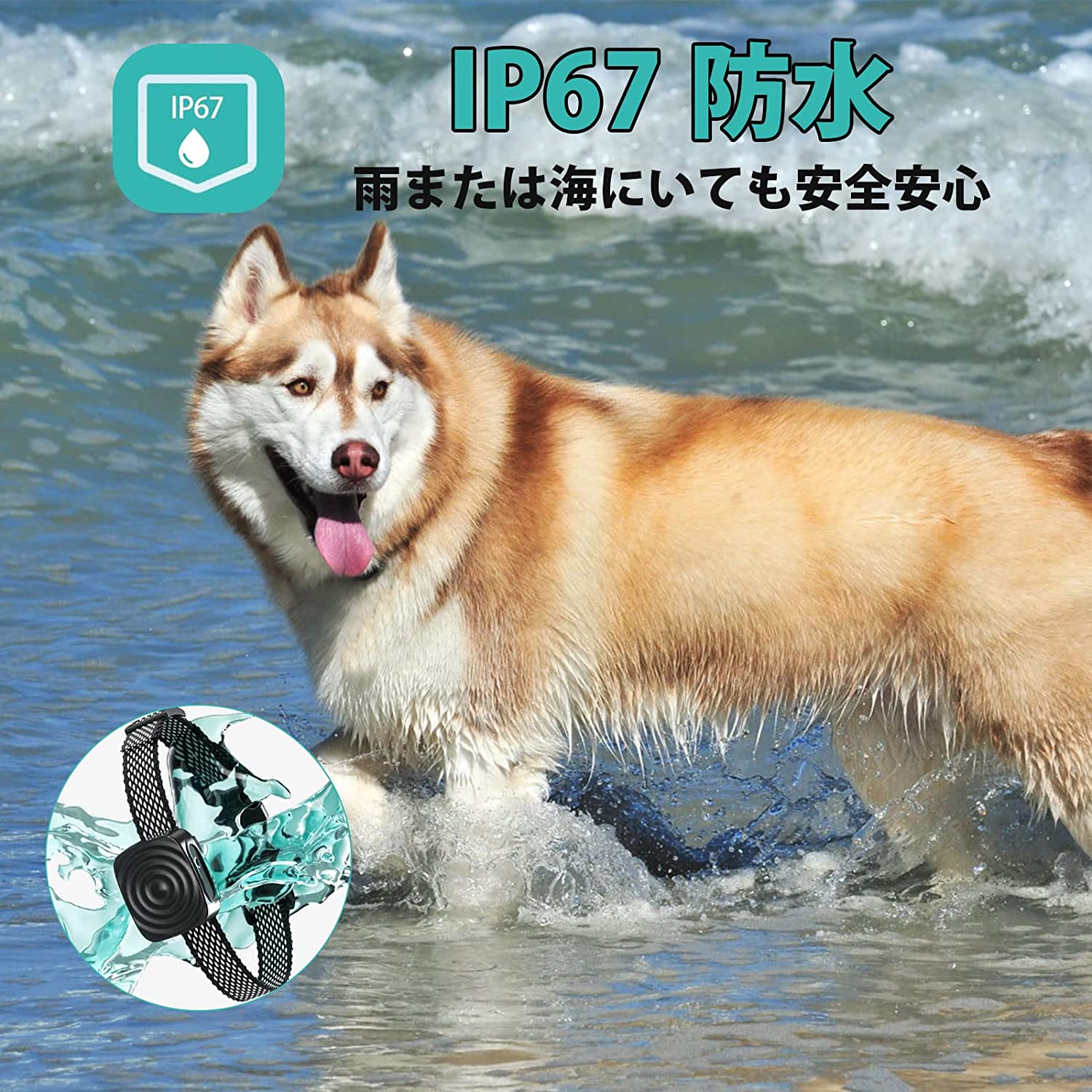 OKTのグッズ 5段階センサー 訓練用 小型犬 首輪 USB充電式 スマート安全 IP67防水 犬むだぼえ防止 犬しつけ 全自動式 無駄吠え防止器｜アングル3