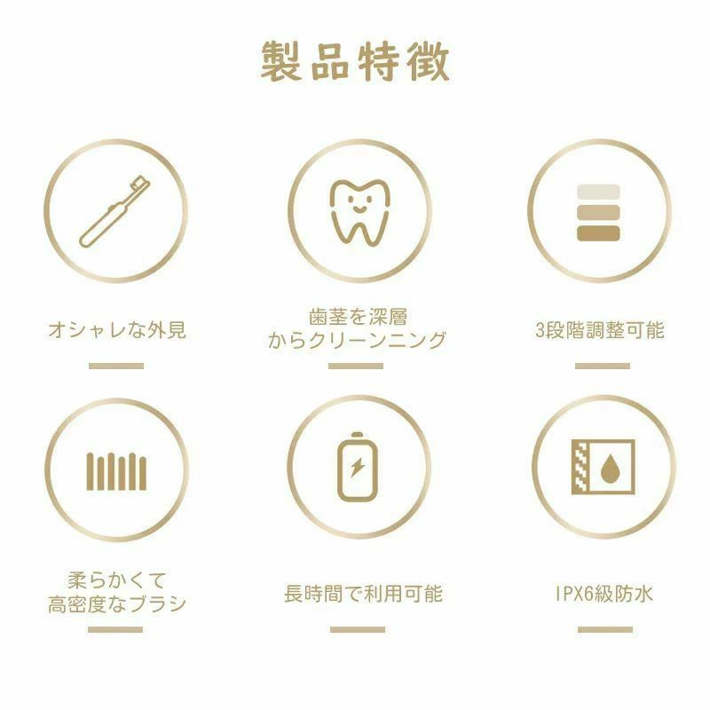 デンタルケア 大人 4つのモード Typc-C 防水IPX6 電動音波歯ブラシ 歯垢除去 歯ブ...