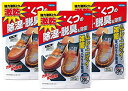 【まとめ買い】 激乾 靴用 除湿剤 強力湿気取り 脱臭 除菌 1足分 × 3個
