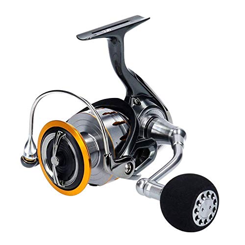 ダイワ(DAIWA) スピニングリール 18 ブラスト LT6000D-H (2018モデル)