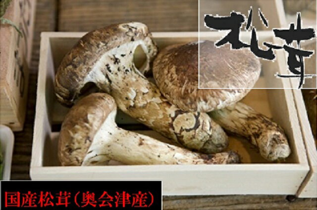 【松茸】松茸 国産 大きさ不揃い 約150g 奥会津産・岩手県産 秋の味覚 山の幸 超高級 希少食材 国産 まつたけ を 採りたて 産地直送 香り高い国産松茸で松茸炭火焼 すき焼き 松茸御飯 松茸のお吸い物 松茸土瓶蒸し 松茸茶碗蒸し 松茸三昧 ギフト