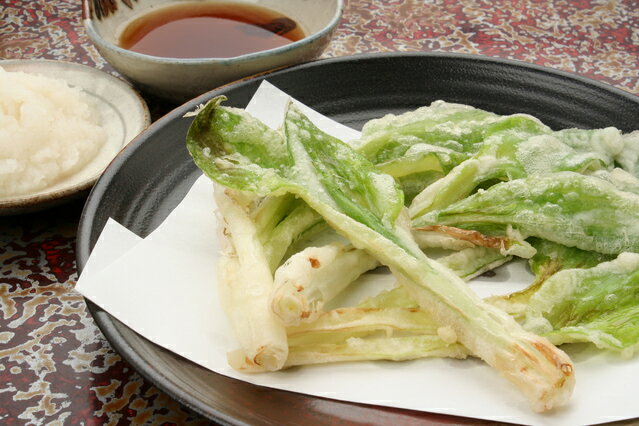 楽天市場 天然山菜 山菜天ぷらセット500g 会津地方産 山菜 春の味覚 朝取り採れたて新鮮な山の幸を産地直送 天ぷらが美味しい 山菜 5 6種類を盛り合わせ 天ぷらパーテイで 山菜 尽くし を食べ較べ21年4月25日頃からご注文順に発送 数量限定 です 天然 きのこ 山菜