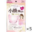 ビースタイル プリーツタイプ ふつう ドーリーピンク 5枚入 5個セット 白元アース 全国一律送料無料