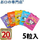 歯医者さんが作ったデンタルラムネ 5粒入×1 歯科専売品 【メール便OK】