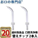 口腔洗浄器 お口の専門店 パルスジェットフロッサー 替えペリオチップ 2本入 × 1個