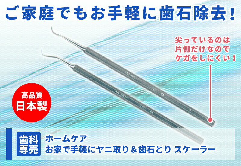 【送料無料】日本製 ヤニ取り＆歯石とり スケーラー 1本【歯石取り】