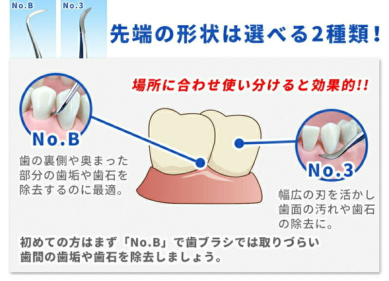 【送料無料】日本製 ヤニ取り＆歯石とり スケーラー 1本【歯石取り】