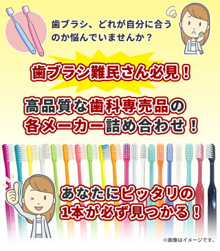 【送料無料】歯科専売品 大人用 歯ブラシ 10本 福袋／MY歯ブラシ／お試しセット