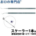 【送料無料】日本製 ヤニ取り＆歯石とりホームケア スケーラー1本 歯垢染色剤（プラークサーチタブレット）1錠・ミラー1本付き 歯科専売品