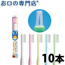 【送料無料】 V-7(ブイセブン) コン