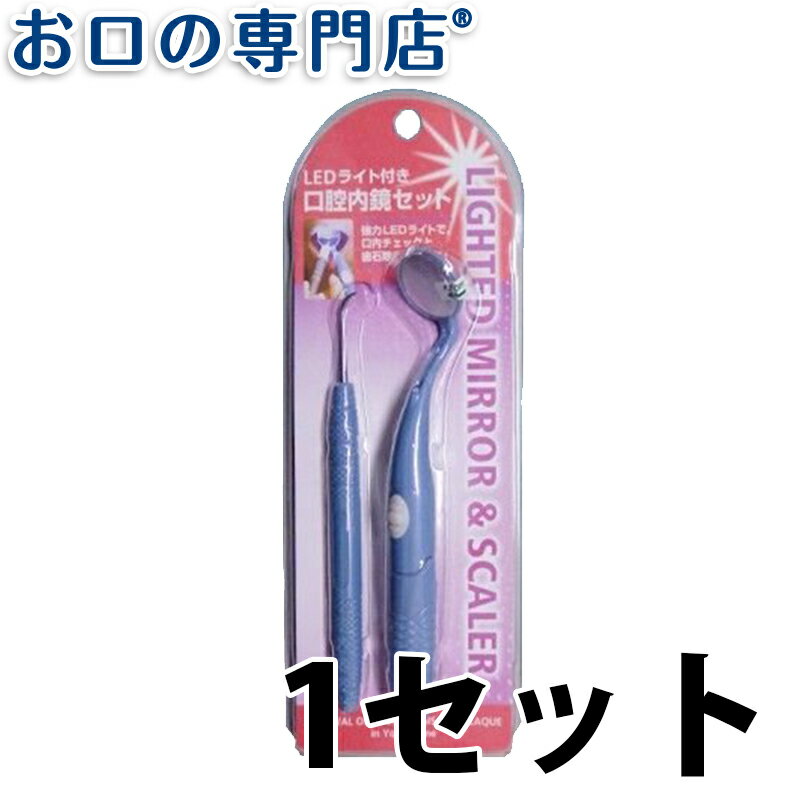 【15日4h限定最大P24倍要エントリー/最大800円OFFクーポン有】強力ライト付き口腔内ミラーとスケーラーセット