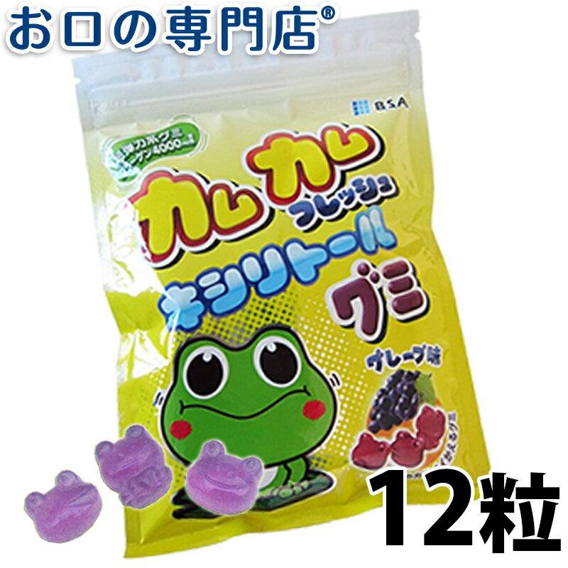 【19日限定最大P5倍】カムカムフレッシュ キシリトールグミ グレープ味1袋（12粒入） 歯科専売品 【メール便OK】