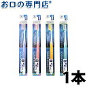 【5日20時～P5倍】デンタルプロ ダブ