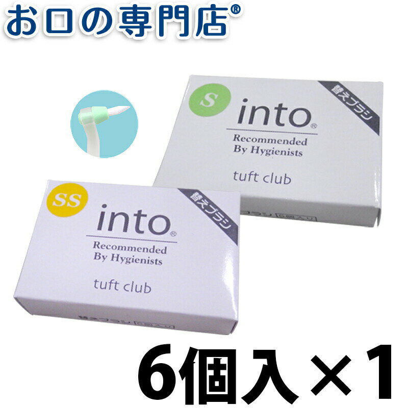 オーラルケア into イントゥ 替えブラシ 6個入 ハブラシ／歯ブラシ 歯科専売品 【メール便OK】