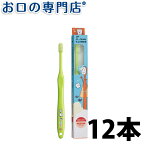 【日曜日限定5％OFFクーポン配布中】サムフレンド r（アール） シリーズ アール フィナーレ ミディアム （仕上げ磨き用） × 12本 【メール便OK】 歯科専売品【2色以上のアソート】