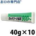 ビーブランド キャナリーナ歯磨900Pw 40g×10本 歯磨き粉／ハミガキ粉 歯科専売品 