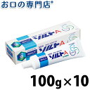 【送料無料】サンスター ニューソルトA 100g×10本 歯磨き粉／ハミガキ粉