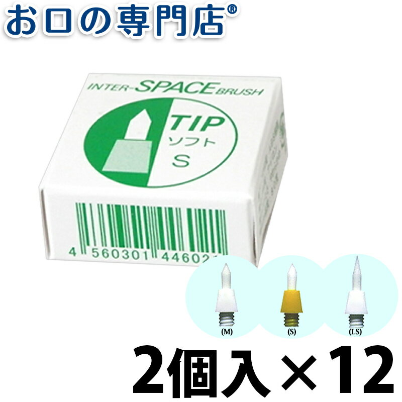 【最大10％OFFクーポン有】【送料無料】 インタースペース・ブラシ専用替えブラシ 2個入×12箱 ハブラシ／歯ブラシ 歯科専売品