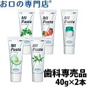 歯科専売品 MIペースト(40g) × 2本