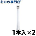 【24日20時/P5倍最大10％OFFクーポン有】【送料無料】ソニッケアー エアーフロス ウルトラ専用 替えノズル（1本入）2個 歯科専売品