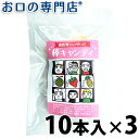 【最大8％OFFクーポン+P2】【送料無料】 歯医者さんが作った棒キャンディ 10本入×3袋 歯科専売品