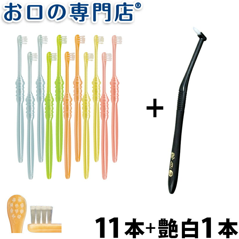 【送料無料】歯科専売品 大人用 ポイントみがき歯ブラシ 11本 艶白レプトン歯ブラシ(日本製）1本【Shu Shu(シュシュ)】【2色以上のアソート】