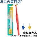 Tepe テペ インタースペース 歯ブラシ ハンドル+12チップ (TePe Inter Space) 【 歯科専売品】【メール便OK】