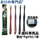 【30日18時/P5倍】歯ブラシ 艶白Pgペングリップ×1本（PSS）日本製 歯科専売品