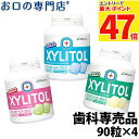 株式会社ロッテ ロッテ キシリトールガム ボトルタイプ 90粒