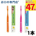 【最大P47倍要エントリー/最大100円OFFクーポン有★27日1:59迄】サムフレンド レギュラーシリーズ RG180 ミドル M(ふつう)歯ブラシ × 1本...