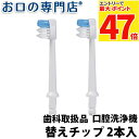 【最大P47倍要エントリー/最大100円OFFクーポン有★27日1:59迄】歯ブラシ お口の専門店 パルスジェットフロッサー 替え歯ブラシチップ 2本入 × 1個(2)