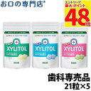 【最大P48倍要エントリー/最大100円OFFクーポン有★16日1:59迄】【最短即日出荷】【メール便送料無料】ロッテ キシリトールガム ラミチャック21粒×5...
