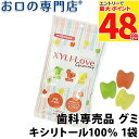 【最大P48倍要エントリー★11日1:59迄】キシリトール100% XYLI-LOVE(キシリラブ) グミ 24粒(96g) × 1袋 歯科専売品(4)