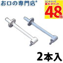【最大P48倍要エントリー★11日1:59迄】リコーエレメックス社『デントレックス』ブラシノズル2本入 歯科専売品 【メール便OK】
