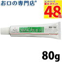 日本自然療法株式会社デンタルポリスDX80g 歯磨き粉/ハミガキ粉 歯科専売品