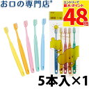 【最大P48倍要エントリー★11日1:59迄】ポージィ ベビー 歯ブラシ 5本入 ハブラシ/歯ブラシ 【メール便OK】