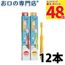 サムフレンド r(アール) シリーズ アール バンビーニ (子ども用) × 12本 【メール便OK】 歯科専売品