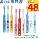 【最大P48倍要エントリー★11日1:59迄】【送料無料】 キャラクター(トミカ&キティー&ドラえもん)歯ブラシ Ci502 Ci503 (乳児〜小学校低学年向...