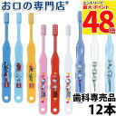 【最大P48倍要エントリー★11日1:59迄】【送料無料】 キャラクター(トミカ&キティー&ドラえもん)歯ブラシ Ci502 Ci503 (乳児〜小学校低学年向...