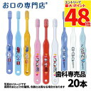 【最大P48倍要エントリー★11日1:59迄】【送料無料】歯ブラシ Ci キャラクター(トミカ&キティー&ドラえもん)歯ブラシ 502/503 (乳児〜小学校低...