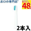 【最大P48倍要エントリー★11日1:59迄】パナソニック ドルツ スリム用密集極細毛ブラシ 替えブラシ (EW0971-W) 2本入 Panasonic Do...