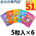 【最大P51倍要エントリー/最大100円OFFクーポン有★10日限定】歯医者さんが作ったデンタルラムネ 5粒入×6袋 歯科専売品 【メール便OK】