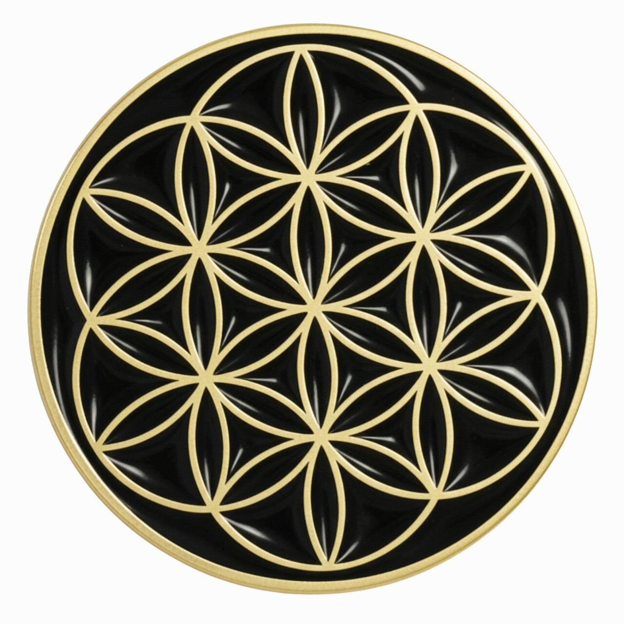 ԥХå ե֥饤  ̿β ܥ ԥ ԥ奢  ǥ ǥ 2cm Don Flyee C0097