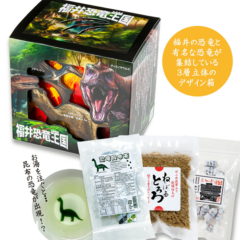 【海生堂の昆布 福井恐竜王国】奥井海生堂 昆布 詰合せ （恐竜昆布茶、ねばるとろろ、こんぶ飴） ギフ..